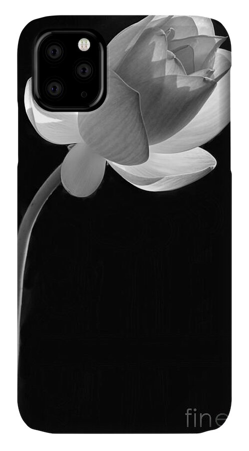  iPhone 11 Case featuring the photograph One Lotus Bud by Sabrina L Ryan