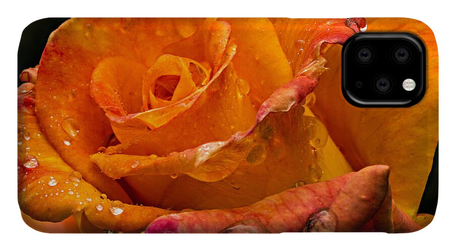Rose iPhone 11 Case featuring the photograph Orange Rose Drops by Mary Jo Allen