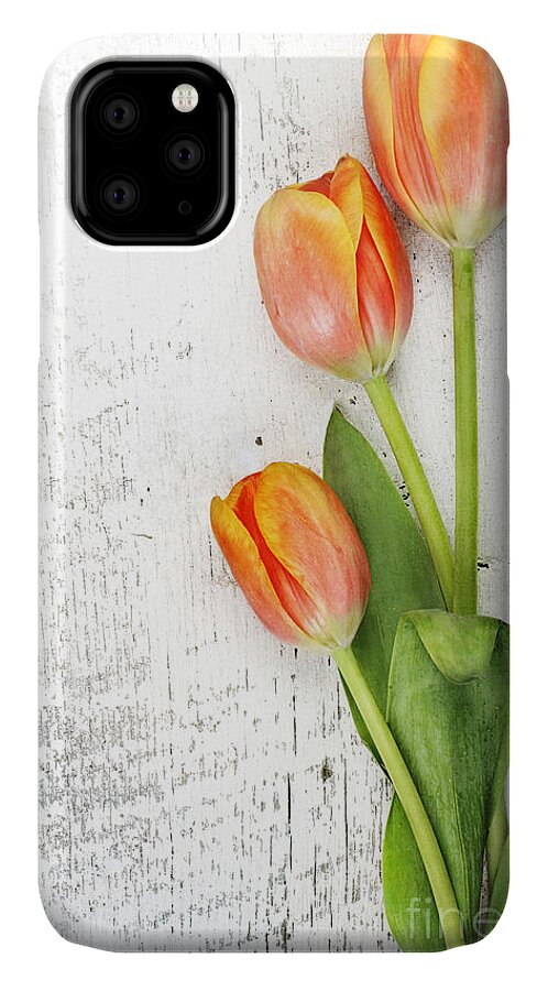 Tulip iPhone 11 Case featuring the photograph Orange Tulips by Stephanie Frey