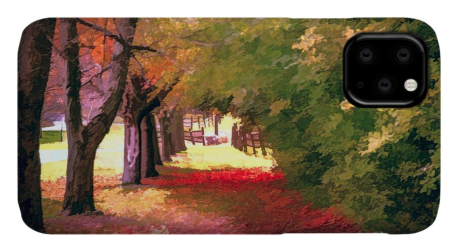 Painterly Forest Trail iPhone 11 Case featuring the photograph Painterly forest trail by Jim Lepard