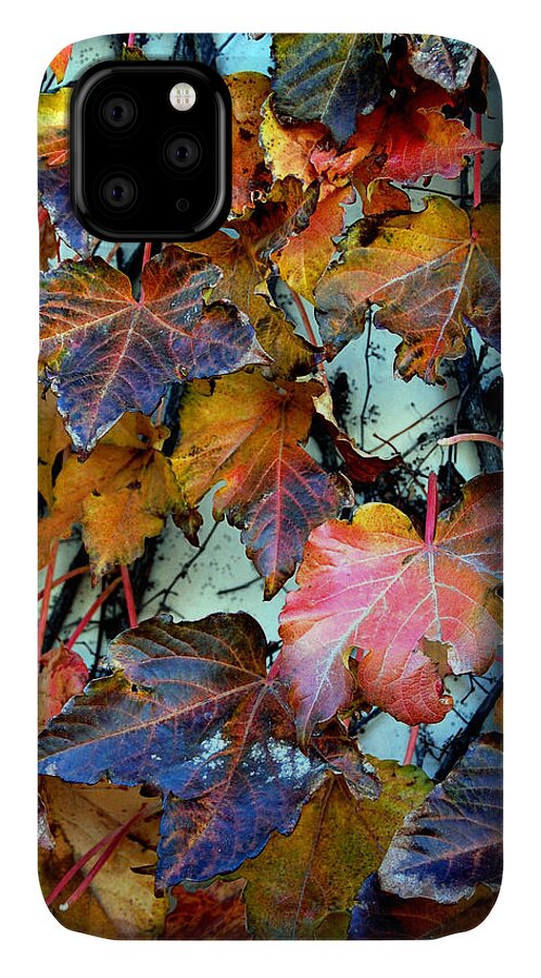 Fall iPhone 11 Case featuring the photograph Passage of Time by Barbara J Blaisdell