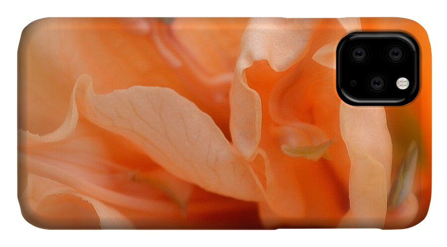Peach iPhone 11 Case featuring the photograph Peachy by Michelle Ayn Potter