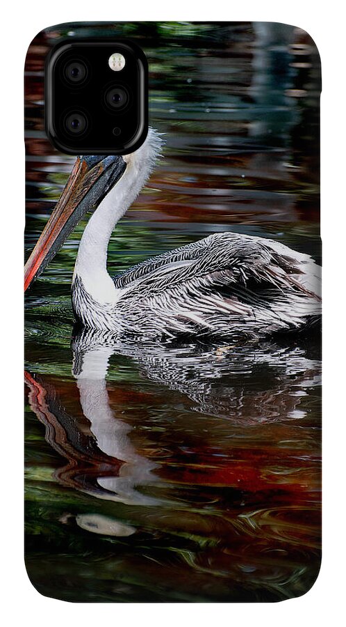 Pelican iPhone 11 Case featuring the photograph Pelican Bay by Donna Proctor