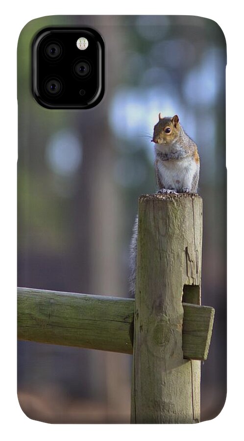 7633 iPhone 11 Case featuring the photograph Perched by Gordon Elwell
