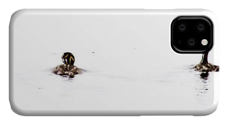 Pied-billed Grebe iPhone 11 Case featuring the photograph Pied-billed Grebe Babies by Jan Killian