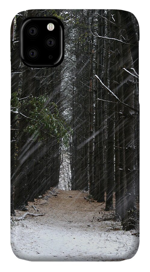 Landscapes iPhone 11 Case featuring the photograph Pines in Snow by Matthew Pace