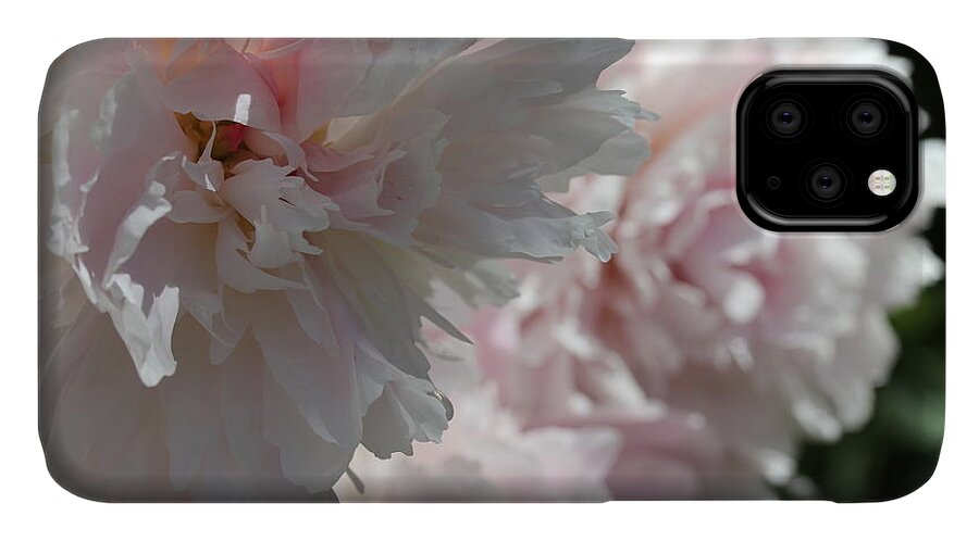 Peony iPhone 11 Case featuring the photograph Pink Confection by Ruth Kamenev