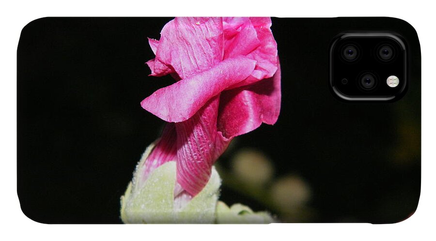 Pink iPhone 11 Case featuring the photograph Pink Hollyhock by Ann E Robson