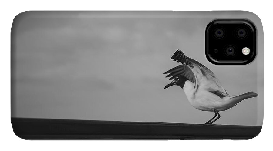 Seagull iPhone 11 Case featuring the photograph Preflight by Maria Robinson