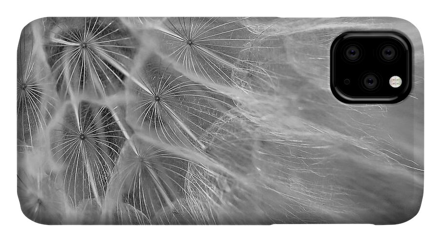 Abstract iPhone 11 Case featuring the photograph Propagation by David Andersen
