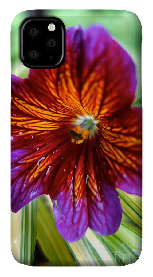Petals iPhone 11 Case featuring the photograph Purple and Orange by Jacqueline Athmann