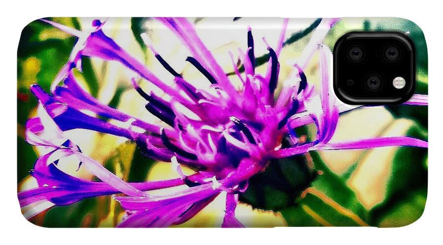 #flowers #flower #tagsforlikes #petal #petals #nature #beautiful #love #pretty #plants #blossom #sopretty #spring #summer #flowerstagram #flowersofinstagram #flowerstyles_gf #flowerslovers #flowerporn #botanical #floral #florals #insta_pick_blossom #flowermagic #instablooms #bloom #blooms #botanical #floweroftheday iPhone 11 Case featuring the photograph Purple Flower by Jason Roust