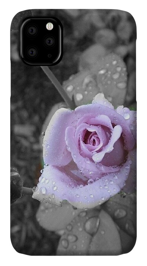 Rose iPhone 11 Case featuring the photograph Purple Rain by Marian Lonzetta