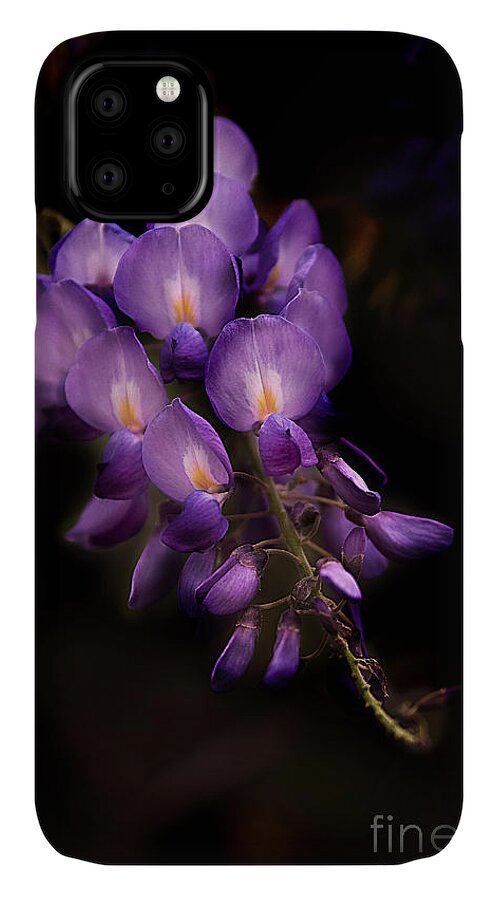 Flower iPhone 11 Case featuring the photograph Purple Wisteria by T Lowry Wilson