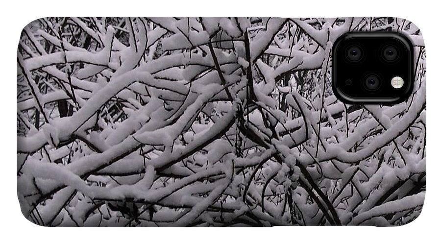 Photo Of Snow iPhone 11 Case featuring the photograph Quiet Beauty by David Neace CPX
