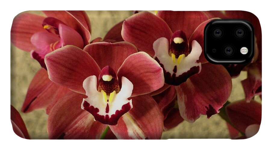 Red iPhone 11 Case featuring the photograph Red cymbidium orchid by Alfred Ng