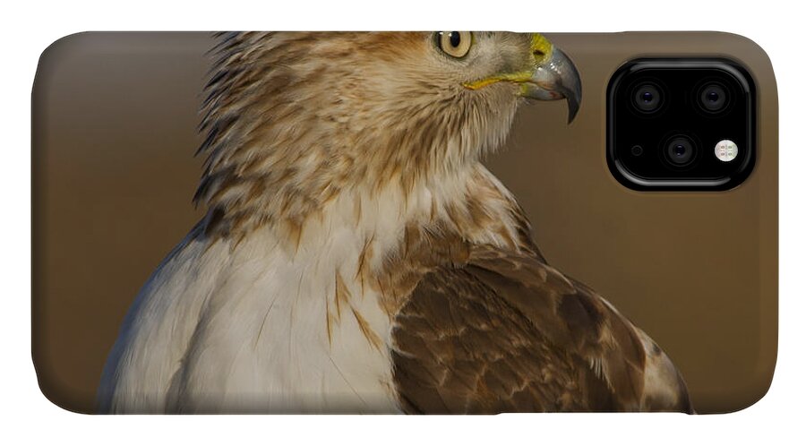 Beak iPhone 11 Case featuring the photograph Red-tailed Hawk portrait by Larry Bohlin