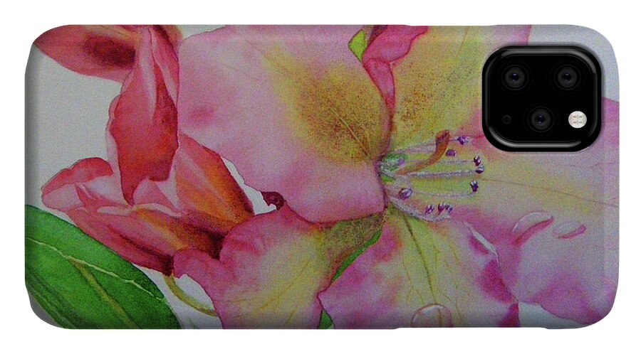 Pink Flower iPhone 11 Case featuring the painting Rhodie with Dew I by Lynn Quinn
