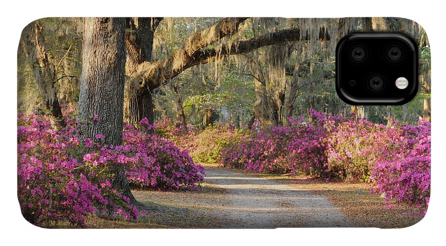 Road iPhone 11 Case featuring the photograph Road with live oaks and azaleas by Bradford Martin