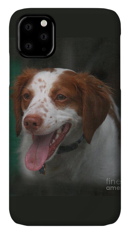 Dog iPhone 11 Case featuring the photograph Rooney at the Back Door by Karen Adams