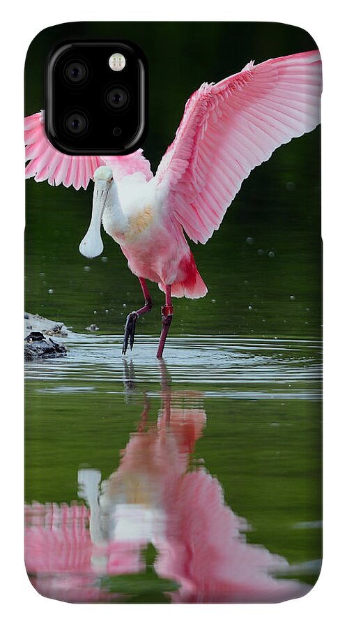 Roseate Spoonbill iPhone 11 Case featuring the photograph Roseate Spoonbill by Clint Buhler