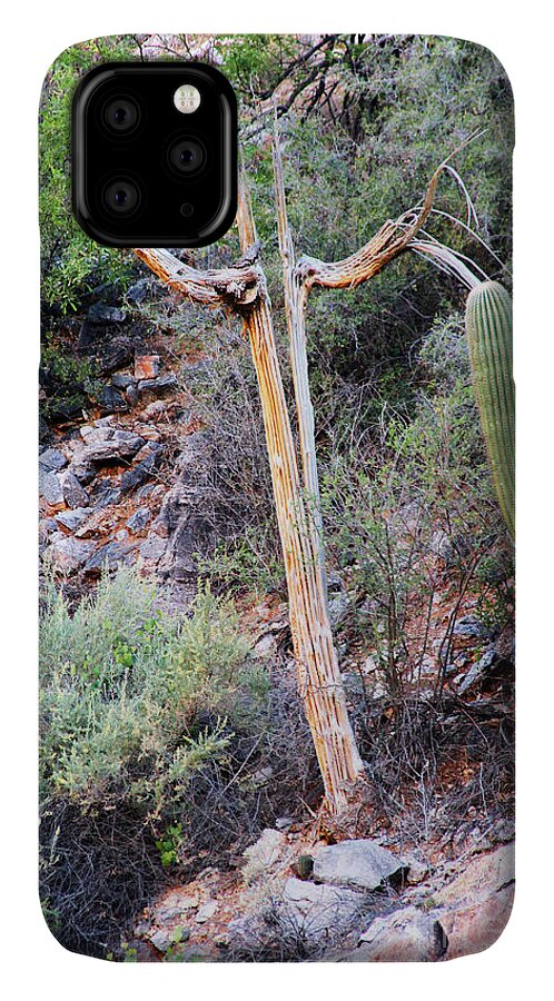 Tucson iPhone 11 Case featuring the photograph Saguaro Skeleton by Jemmy Archer