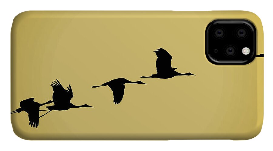 Sandhill Cranes iPhone 11 Case featuring the photograph Sandhill Cranes by Jackson Pearson