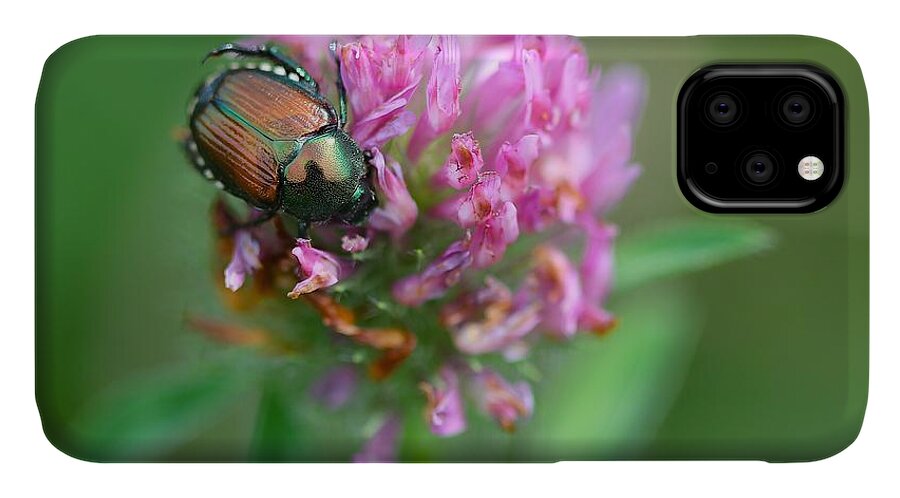 Scarab iPhone 11 Case featuring the photograph Scarab On Clover by Tracy Male