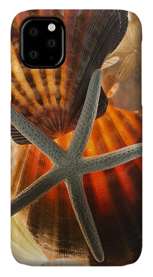 R.d. Decker iPhone 11 Case featuring the photograph Sea Shells by Bob Decker