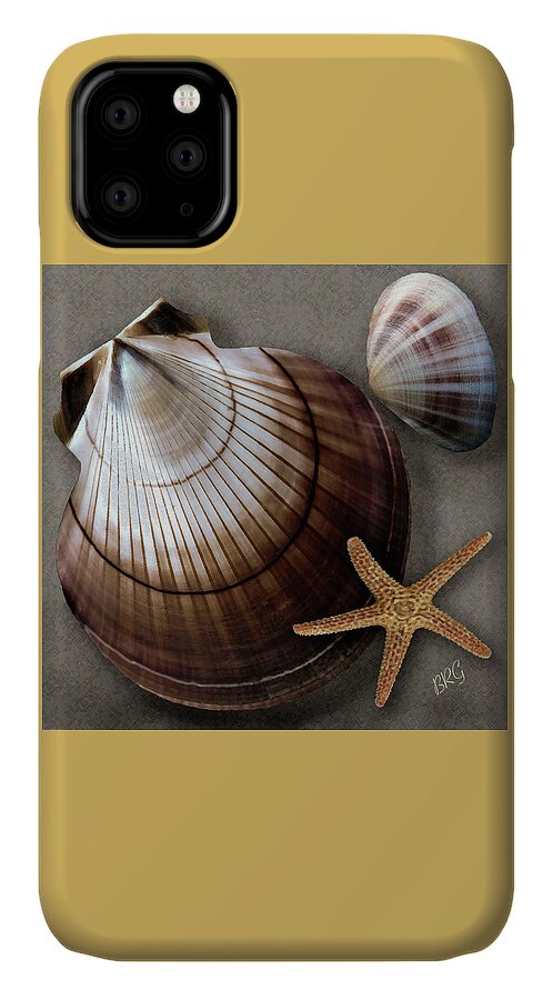 Seashell iPhone 11 Case featuring the photograph Seashells Spectacular No 38 by Ben and Raisa Gertsberg