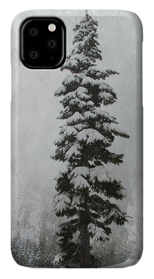 Winter iPhone 11 Case featuring the photograph Sentinel by Marilyn Wilson