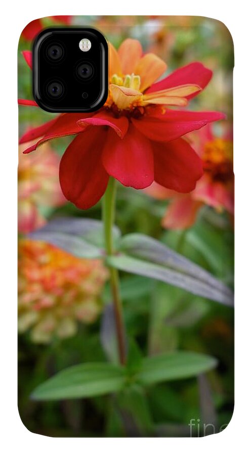 Serenity In Red iPhone 11 Case featuring the photograph Serenity In Red by Jacqueline Athmann