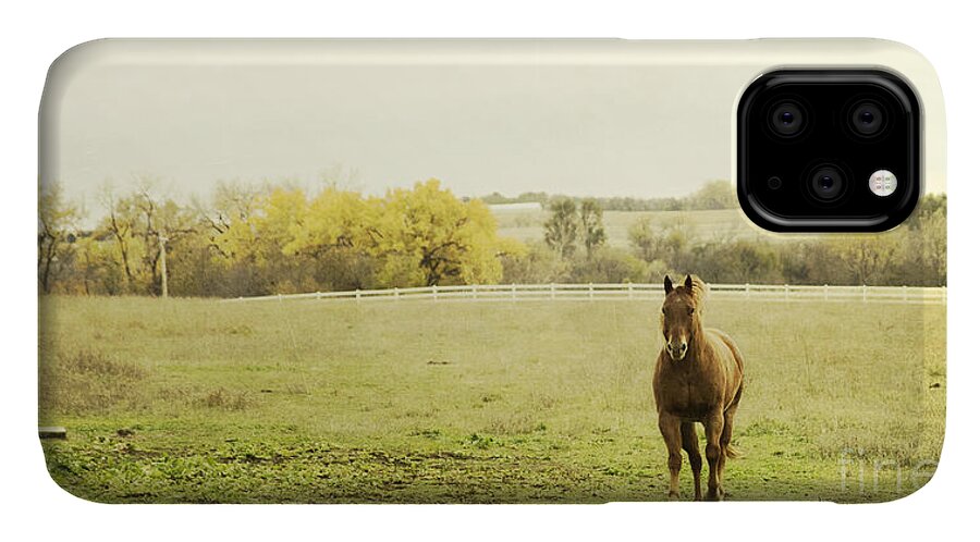 Horse iPhone 11 Case featuring the photograph Shiloah on the Run by Pam Holdsworth