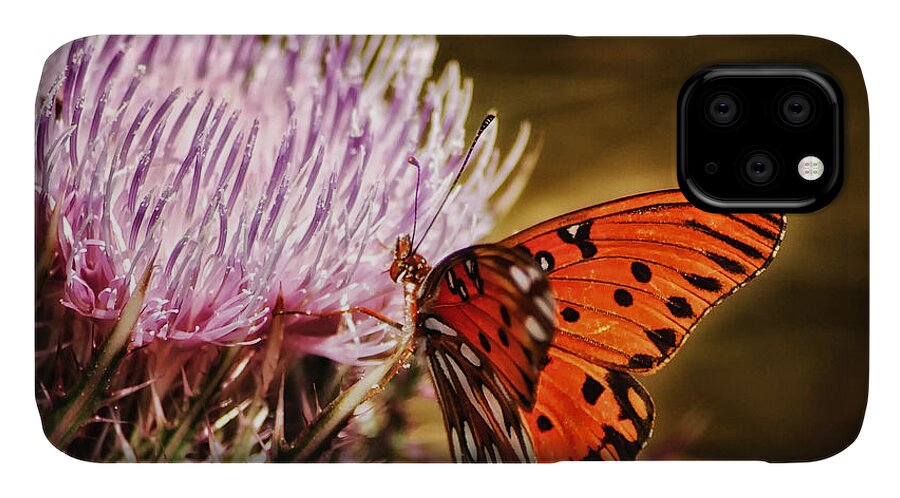 Crystal Yingling iPhone 11 Case featuring the photograph Silent Landing by Ghostwinds Photography