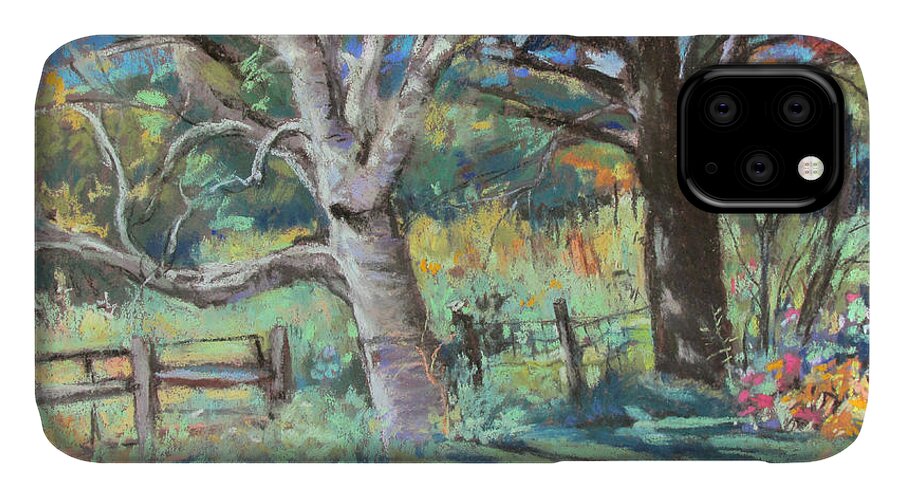 Trees iPhone 11 Case featuring the painting Sister Trees by Linda Novick
