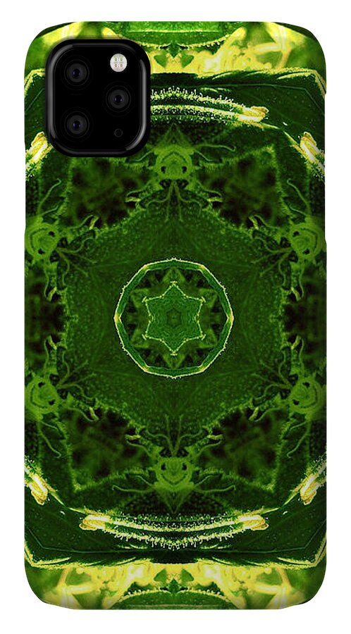 Joy iPhone 11 Case featuring the mixed media Smilabis by Alicia Kent