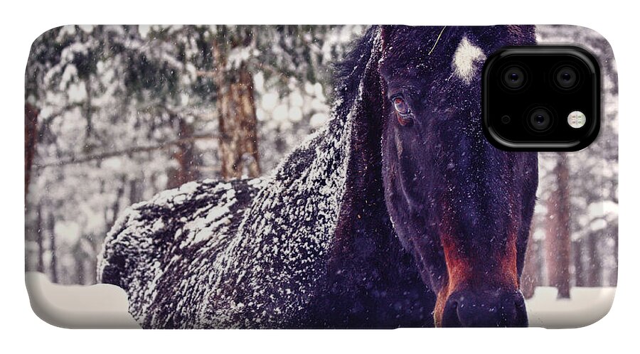 Horse iPhone 11 Case featuring the photograph Snowy Spirit by Teri Virbickis
