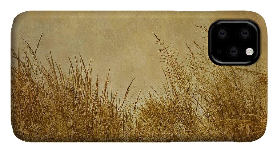 Beach iPhone 11 Case featuring the photograph Solitude by Kim Hojnacki
