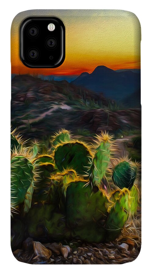 Landscape iPhone 11 Case featuring the photograph Southwestern Dream by Chris Bordeleau