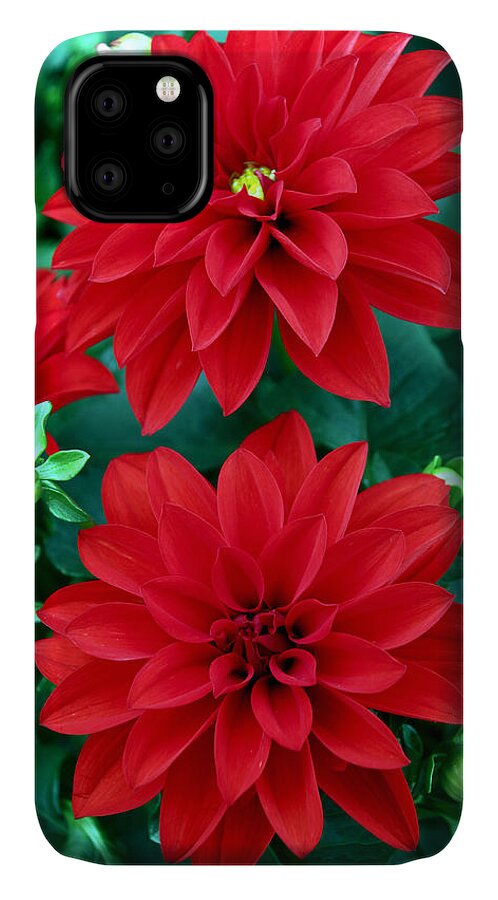 Spring iPhone 11 Case featuring the photograph Spring Flowers 5 by Bob Slitzan