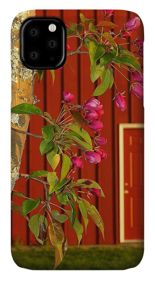 Blossoms iPhone 11 Case featuring the photograph Spring by Viviana Nadowski