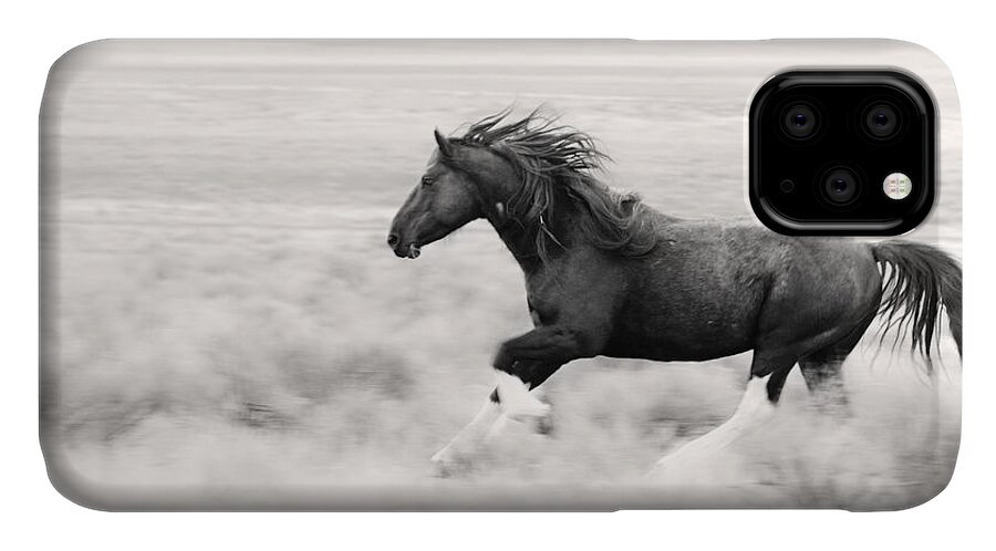 Stallion Blur iPhone 11 Case featuring the photograph Stallion Blur by Wes and Dotty Weber