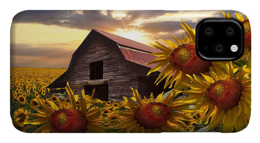 Barn iPhone 11 Case featuring the photograph Sunflower Dance by Debra and Dave Vanderlaan
