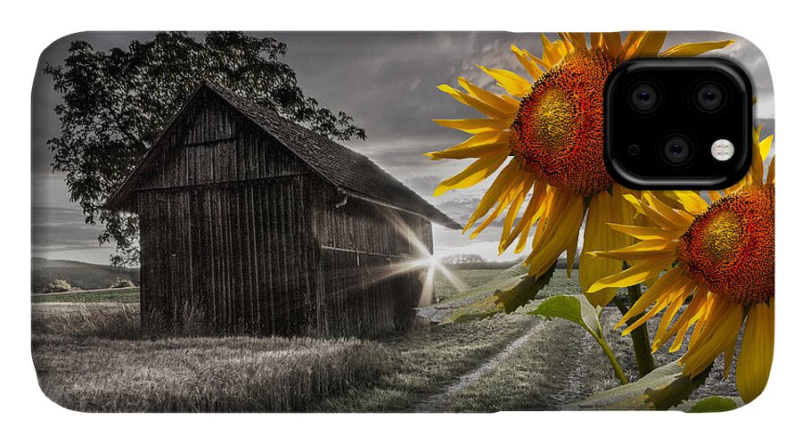 Appalachia iPhone 11 Case featuring the photograph Sunflower Watch by Debra and Dave Vanderlaan