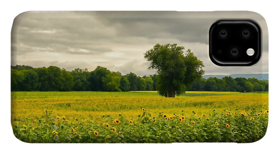 Flowers iPhone 11 Case featuring the photograph Sunflowers and The Tree by Nancy De Flon