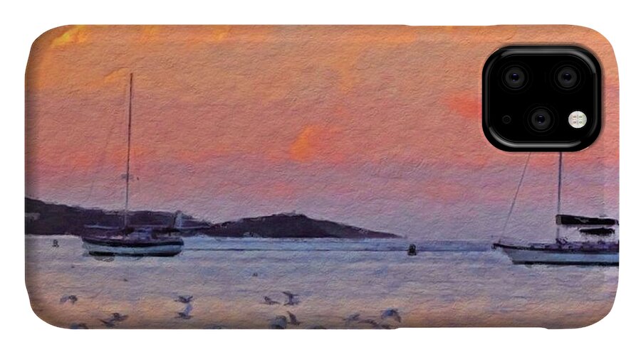 Sharkcrossing iPhone 11 Case featuring the digital art H Sunset Harbor with Birds - Horizontal by Lyn Voytershark