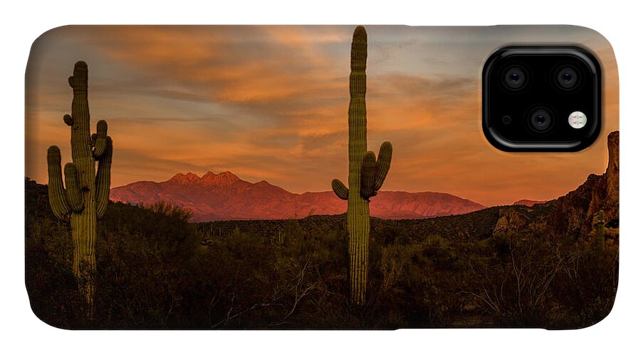 Arizona iPhone 11 Case featuring the photograph Sunset Sentinels by Mary Jo Allen