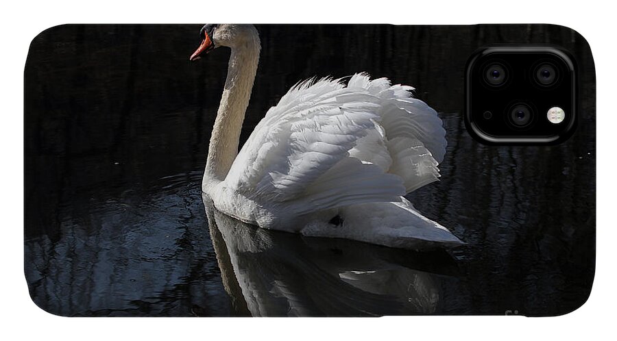 Swan iPhone 11 Case featuring the photograph Swan with Reflection by Eleanor Abramson