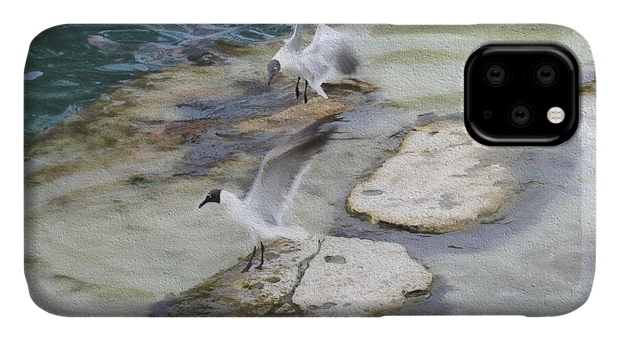 White iPhone 11 Case featuring the photograph Tern on the Shore by Jody Lovejoy