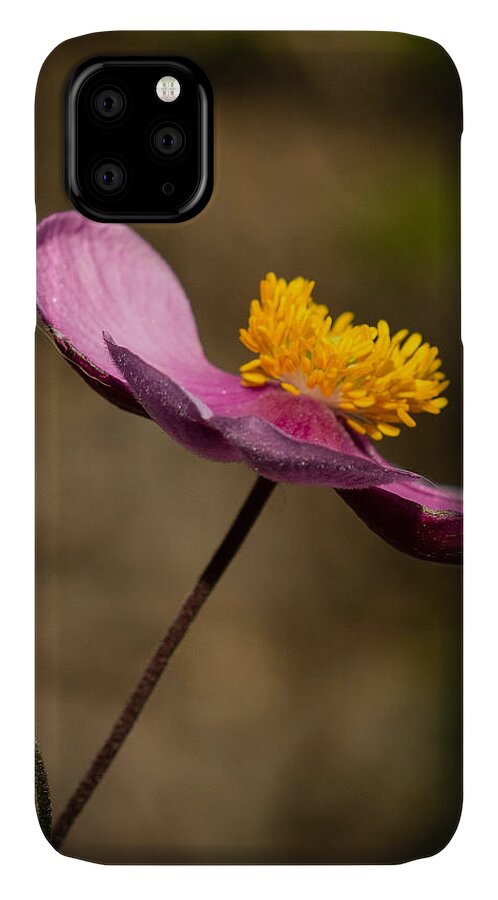 Anemone iPhone 11 Case featuring the photograph The Dance by Cathy Donohoue